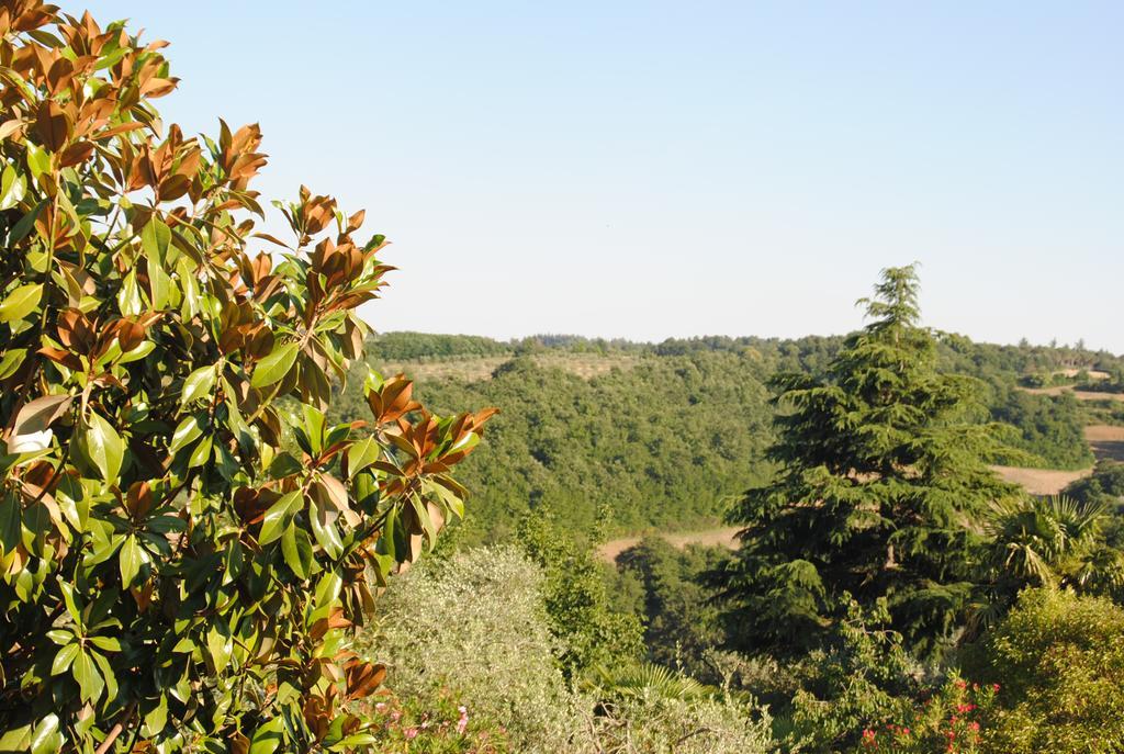 Il Gelsomino Del Perugino Vila Città della Pieve Exterior foto